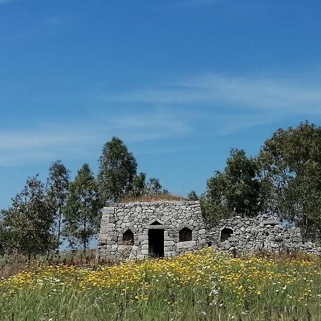 Bed and Breakfast Nicuzza Martano Exterior foto